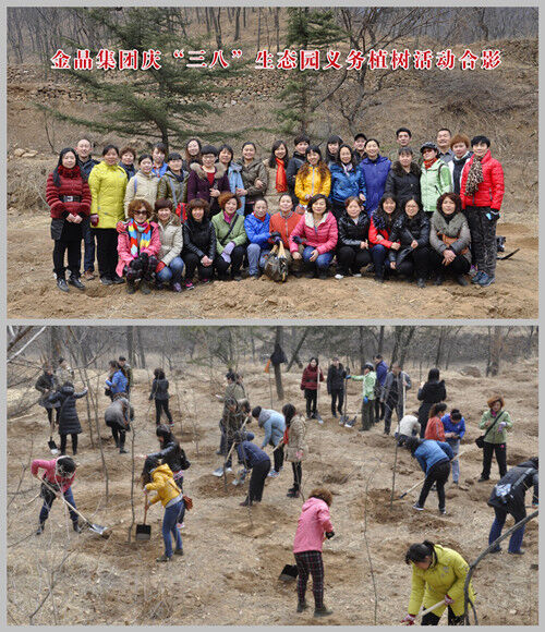 今年会集团庆“三八”生态园义务植树